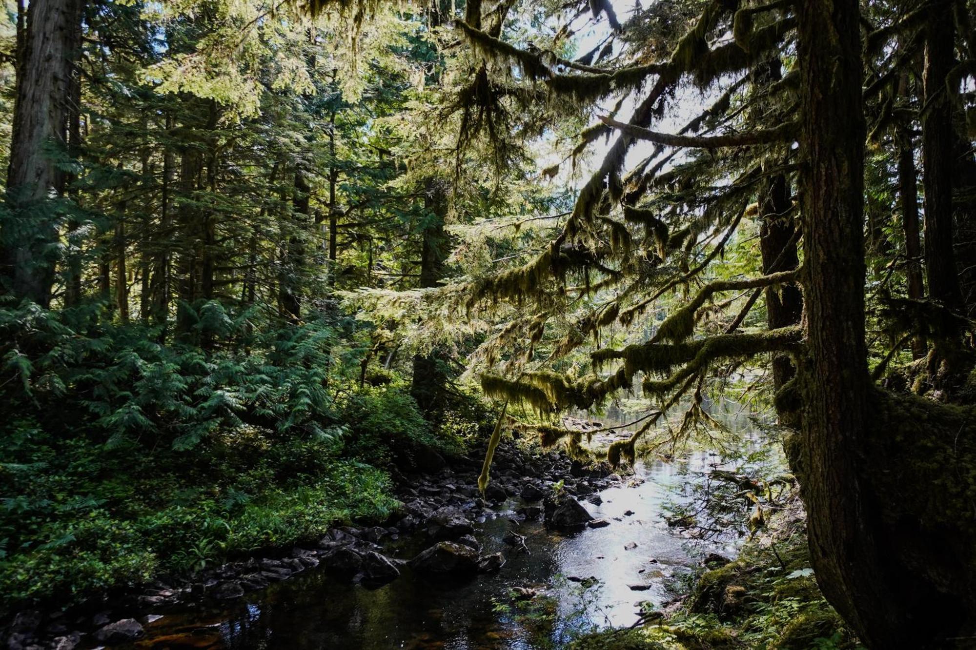 Sportsman'S Cove Lodge Ketchikan Exteriér fotografie